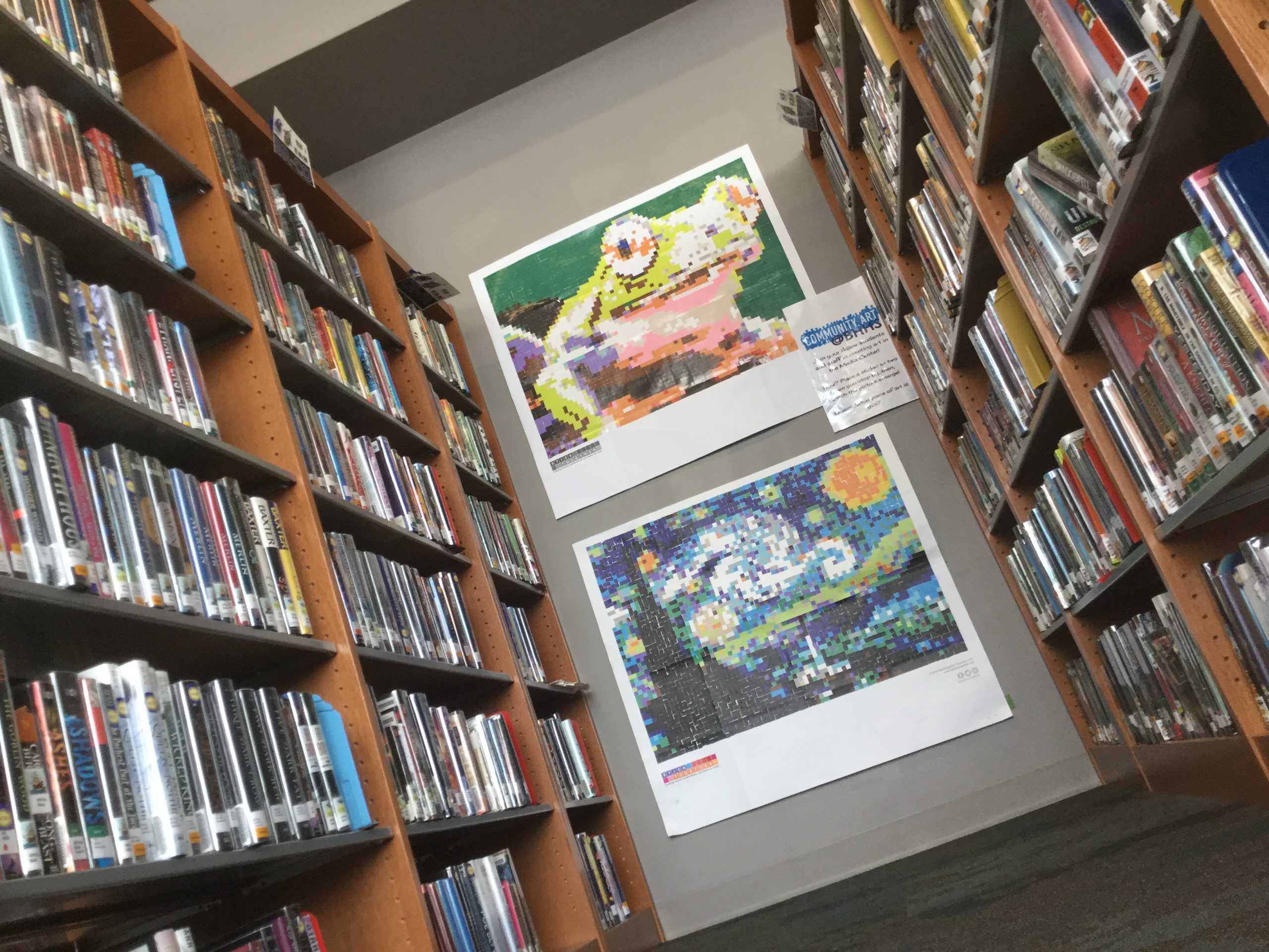 Faded picture of a library; there are shelves on both sides and two picture pieces in the wall between: a frog and The Starry Night